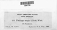 Image Associated With the Occurence